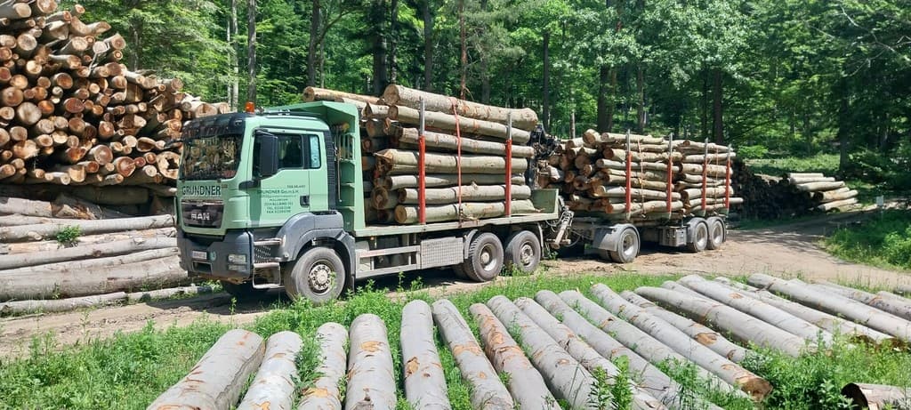 Grundner-Holztransporter mit geladenem Rundholz im Wald